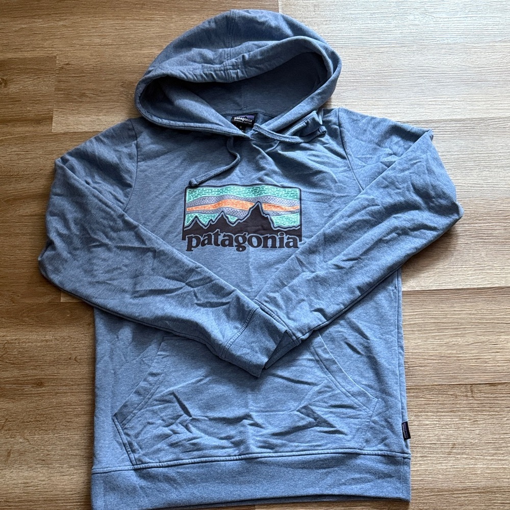 Patagonia Gray Hoodie with Colorful Mountain Design